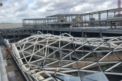 C9E55CAC-B85D-499C-95C5-0D8B3D958F6C-1024x768