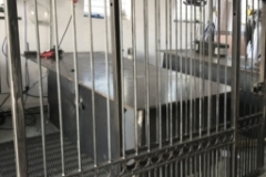 IMG_1870-e1508251686183-256x256