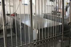 IMG_1870-e1508251686183-768x1024