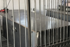 IMG_1870-e1508251686183-thegem-gallery-fullwidth