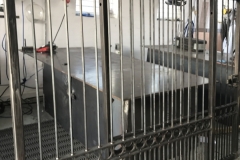 IMG_1870-e1508251686183-thegem-gallery-justified-100