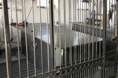 IMG_1870-e1508251686183