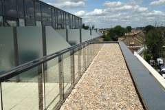 IMG_1927-thegem-gallery-justified-100